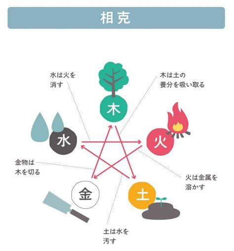 金剋木|金剋木(キンコクモク)とは？ 意味や使い方